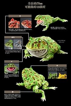 ベルツノガエル特大・緑 2個（ ベルツノガエル特大・緑 - カエル工房